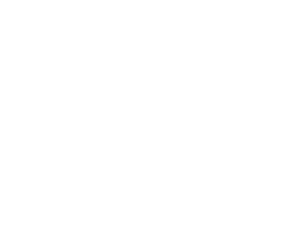 Logo of our client Safe Secure